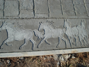 126317556_111115624157400_2015140839575103330_n