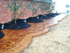 126490679_111115334157429_7058071710598438642_n