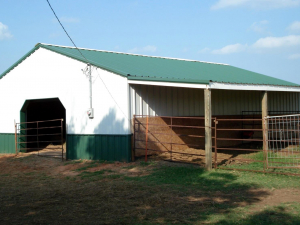 126849139_111113300824299_3812249807181934015_n