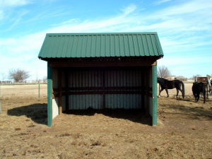 127021349_111116437490652_4477412784281515072_n