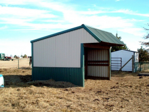 127040715_111116434157319_1867895544335498689_n